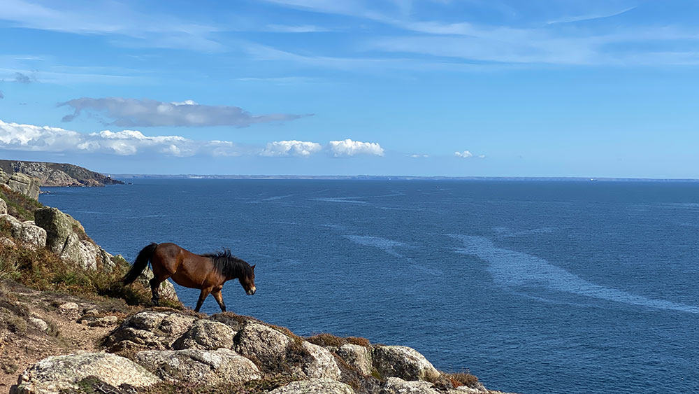 Pony, Logan's Rock